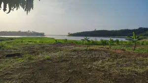 V/R, Tongor (Kaira) _ 10.64 Acres Irrigable Farmland