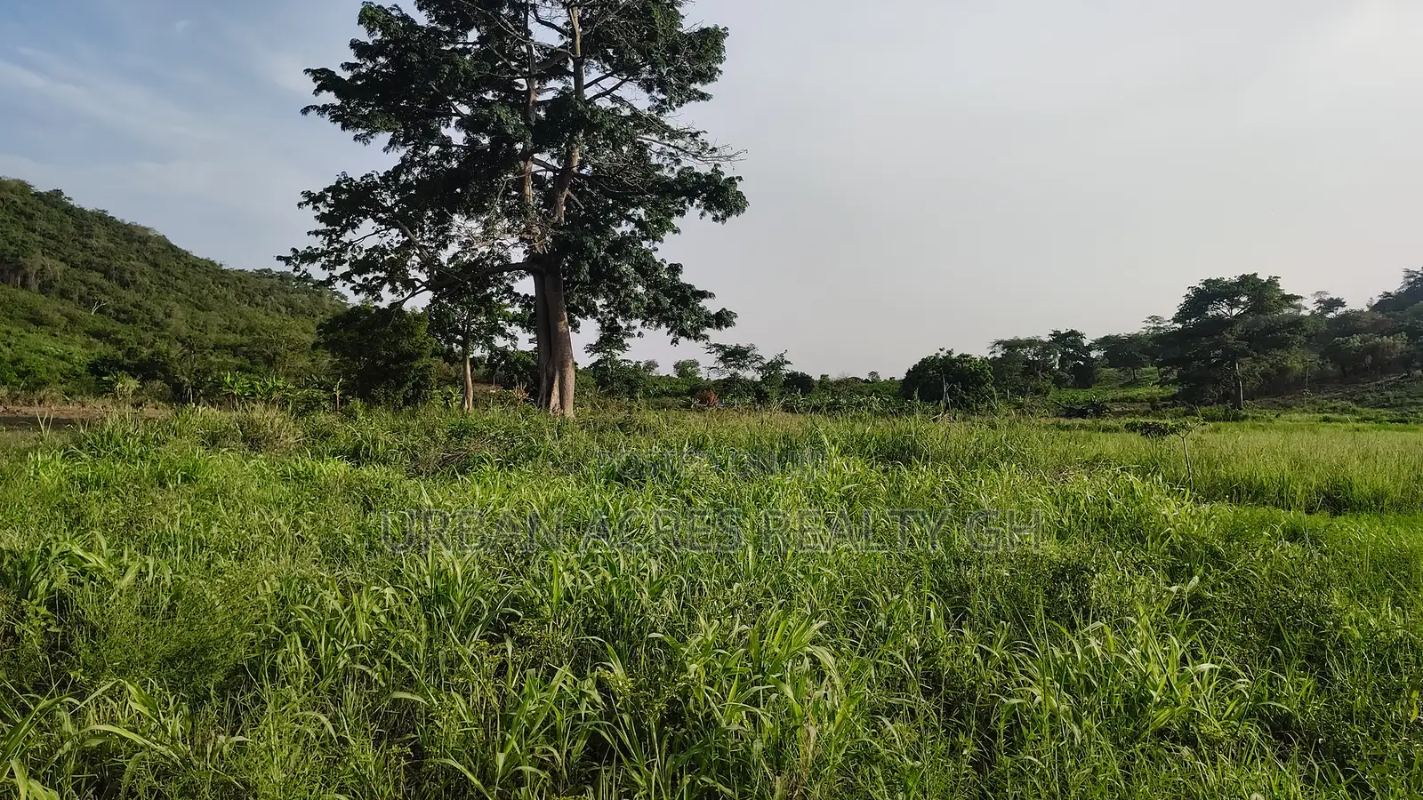 V/R, Tongor (Kaira) _ 10.64 Acres Irrigable Farmland