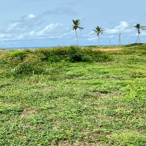 Ocean View Land for Sale in Ada Foah - Pute Elavanyo