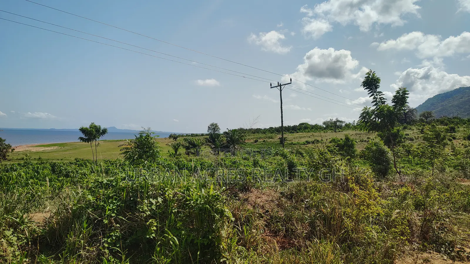 Volta Regn, Tongor (Dzemeni) _ 400 Acres Irrigable Farmland