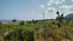 Volta Regn, Tongor (Dzemeni) _ 400 Acres Irrigable Farmland