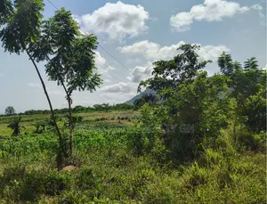 Volta Regn, Tongor (Dzemeni) _ 400 Acres Irrigable Farmland