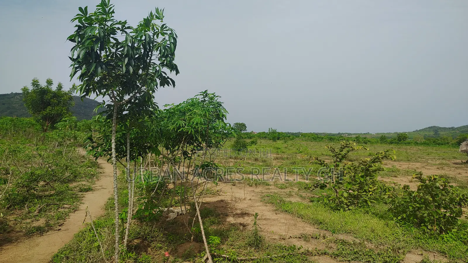 Volta Regn, Tongor (Dzemeni) _ 400 Acres Irrigable Farmland