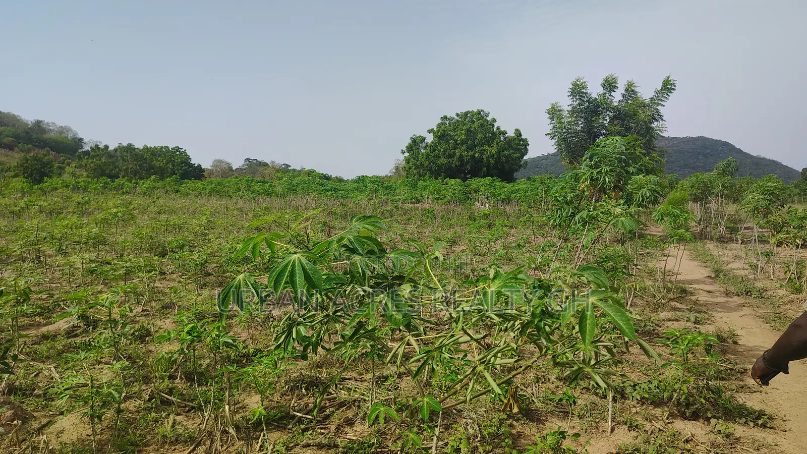 Volta Regn, Tongor (Dzemeni) _ 400 Acres Irrigable Farmland