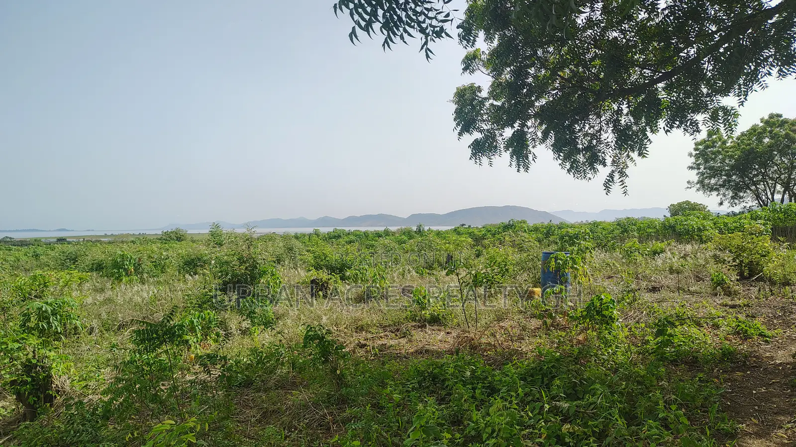 Volta Regn, Tongor (Dzemeni) _ 400 Acres Irrigable Farmland