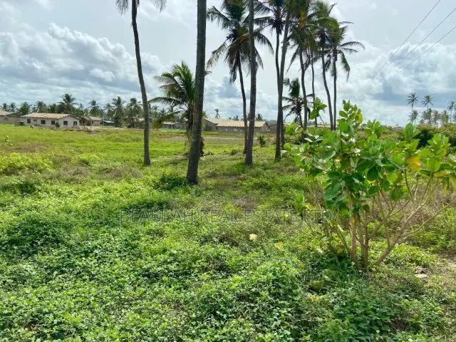 Ocean View Land for Sale in Ada Foah - Pute Elavanyo