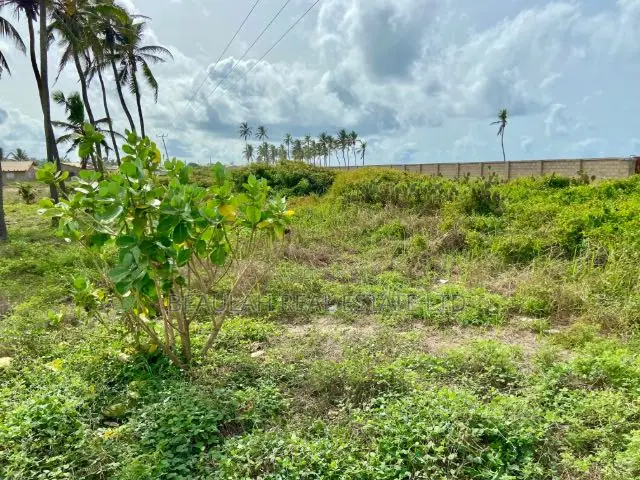Ocean View Land for Sale in Ada Foah - Pute Elavanyo