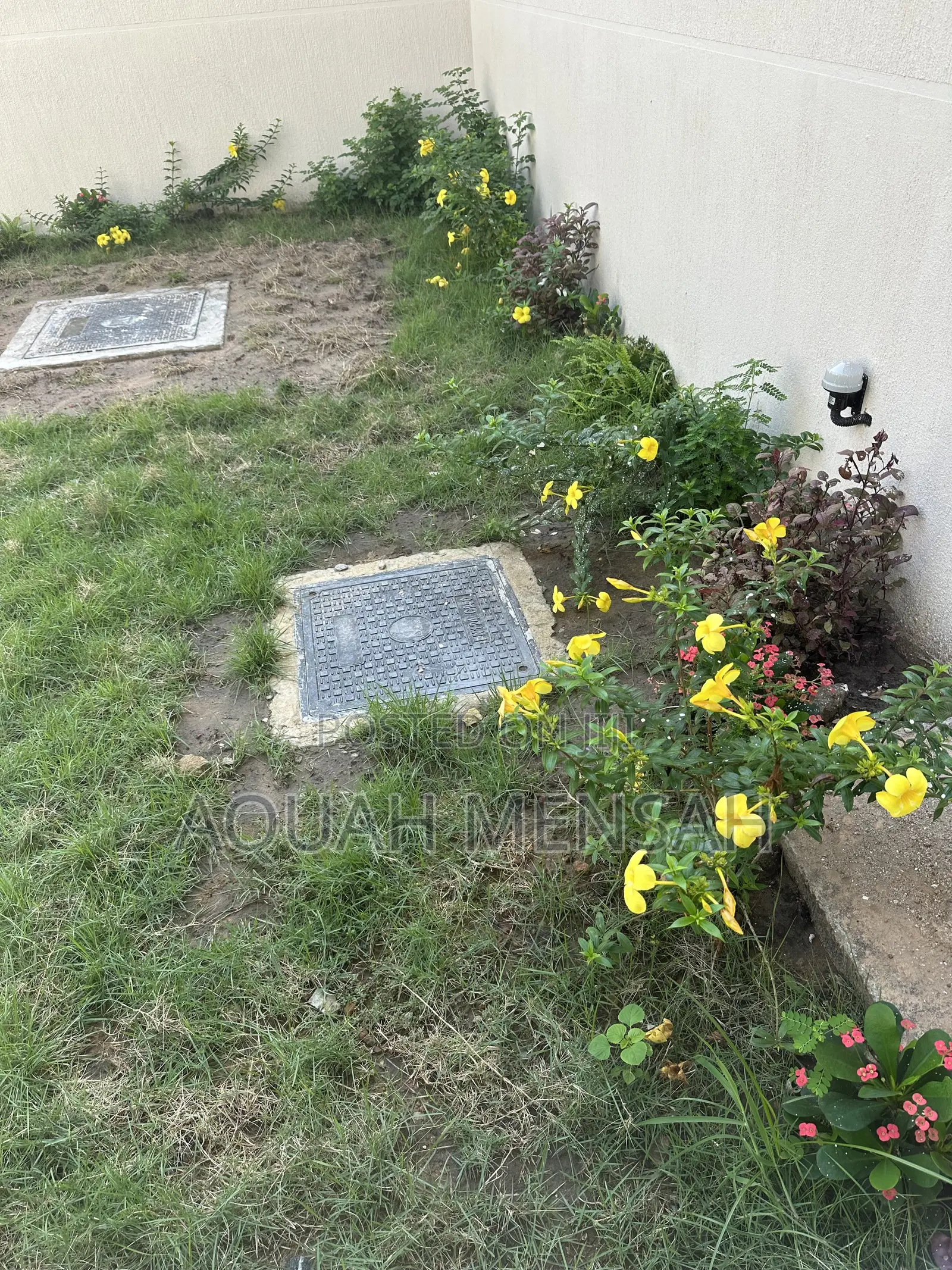 Landscaping