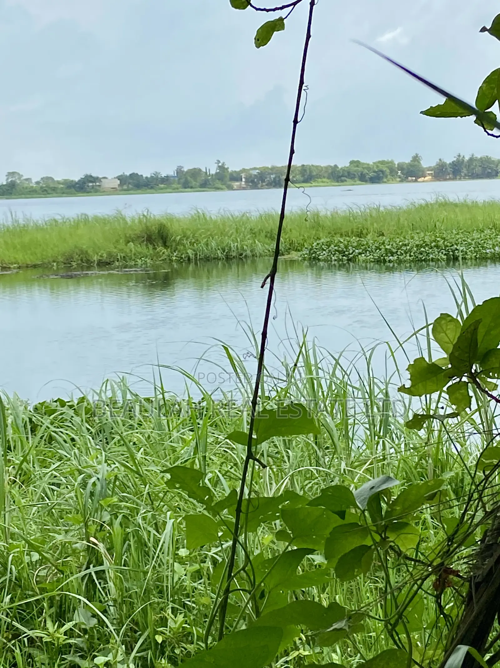 Waterfront/River Land for Sale in Akpaflito, South Tongu – Sogakope
