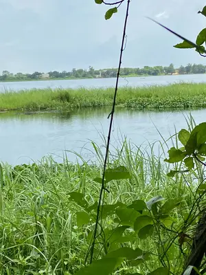Waterfront/River Land for Sale in Akpaflito, South Tongu – Sogakope