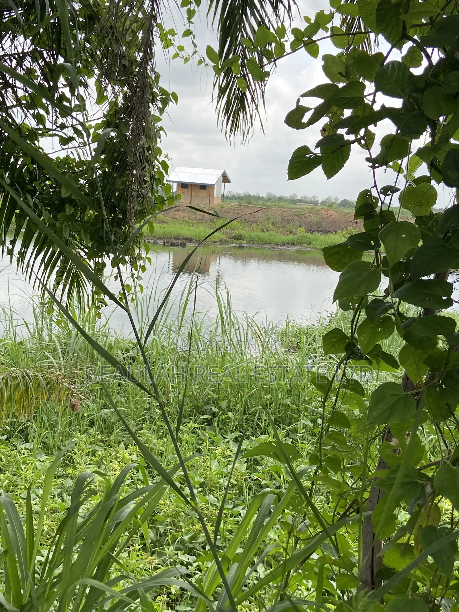Waterfront/River Land for Sale in Akpaflito, South Tongu – Sogakope