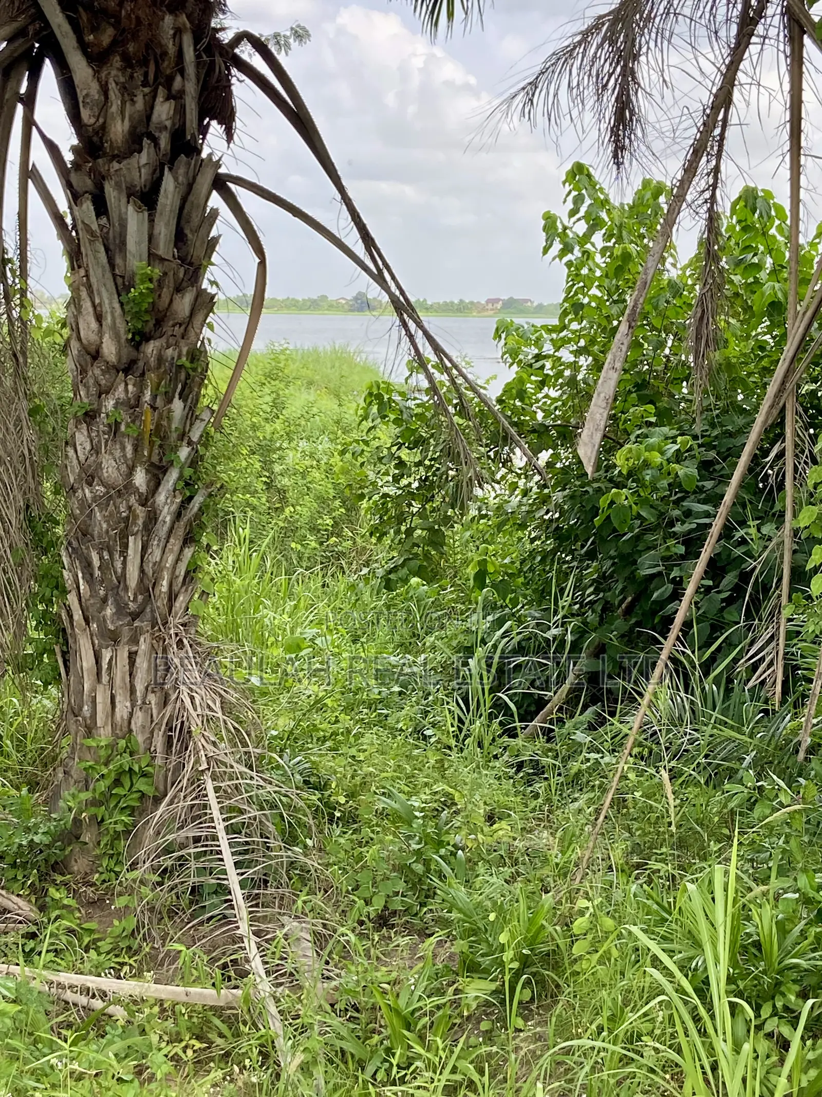 Waterfront/River Land for Sale in Akpaflito, South Tongu – Sogakope