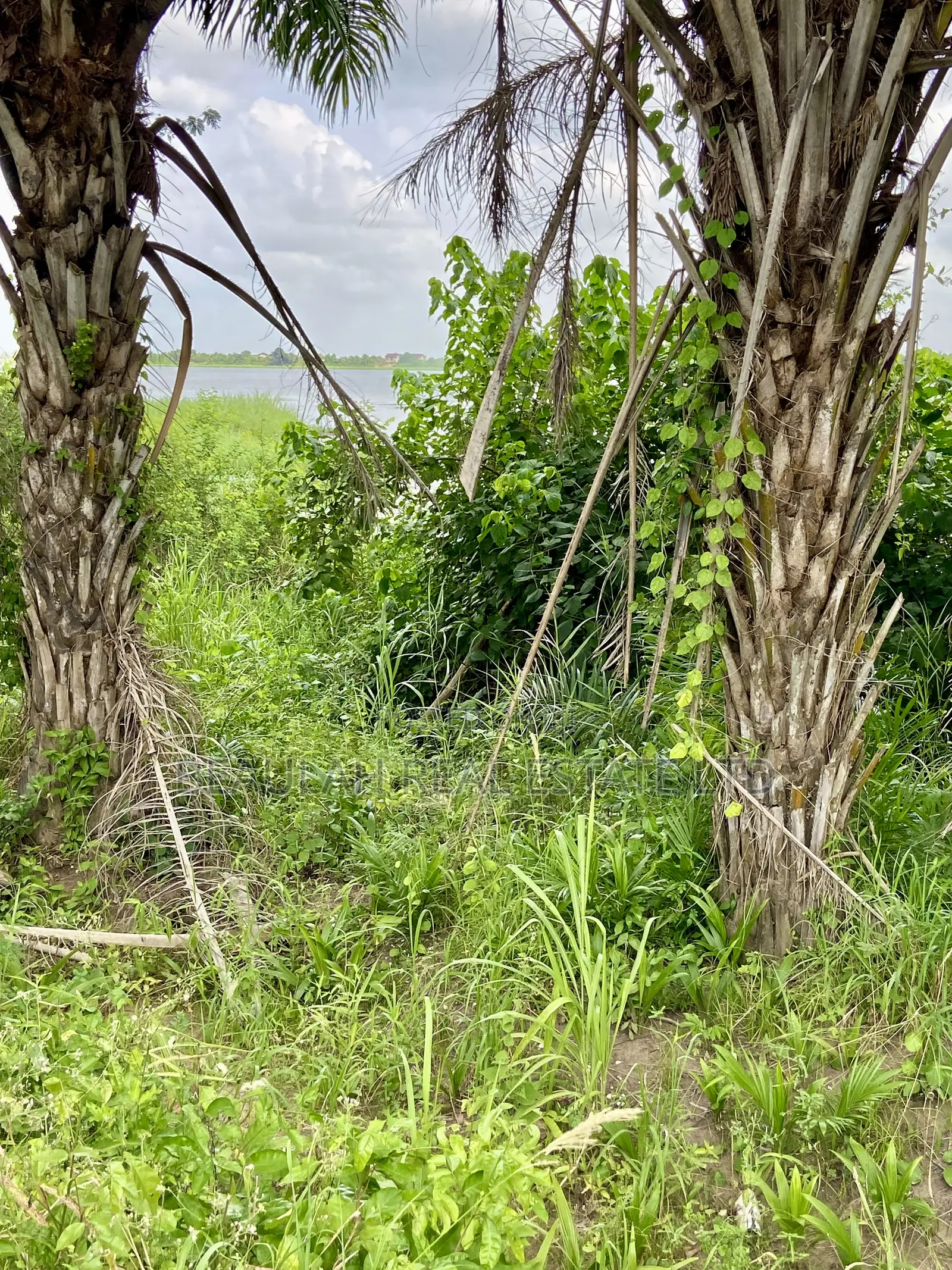 Waterfront/River Land for Sale in Akpaflito, South Tongu – Sogakope