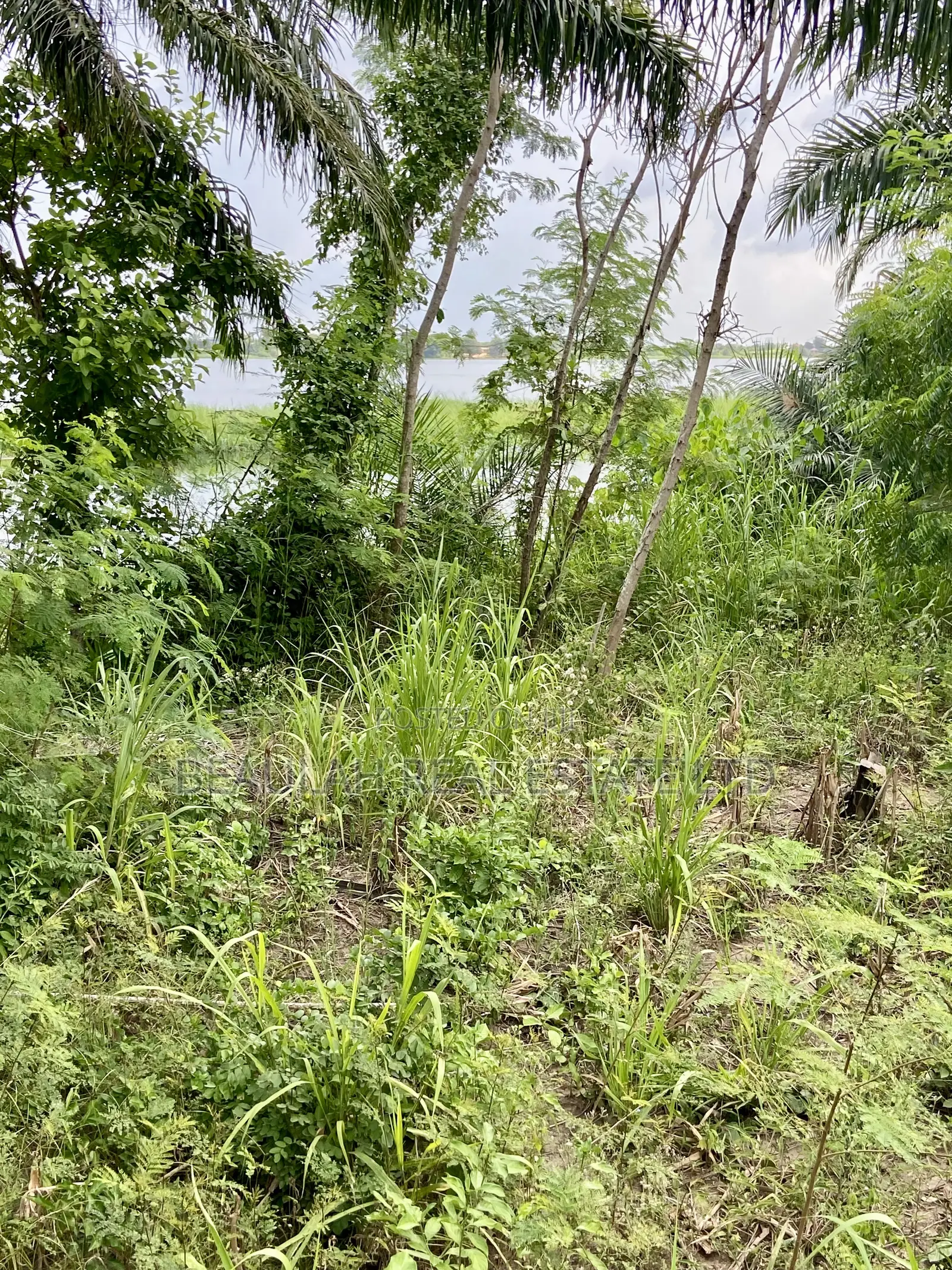 Waterfront/River Land for Sale in Akpaflito, South Tongu – Sogakope