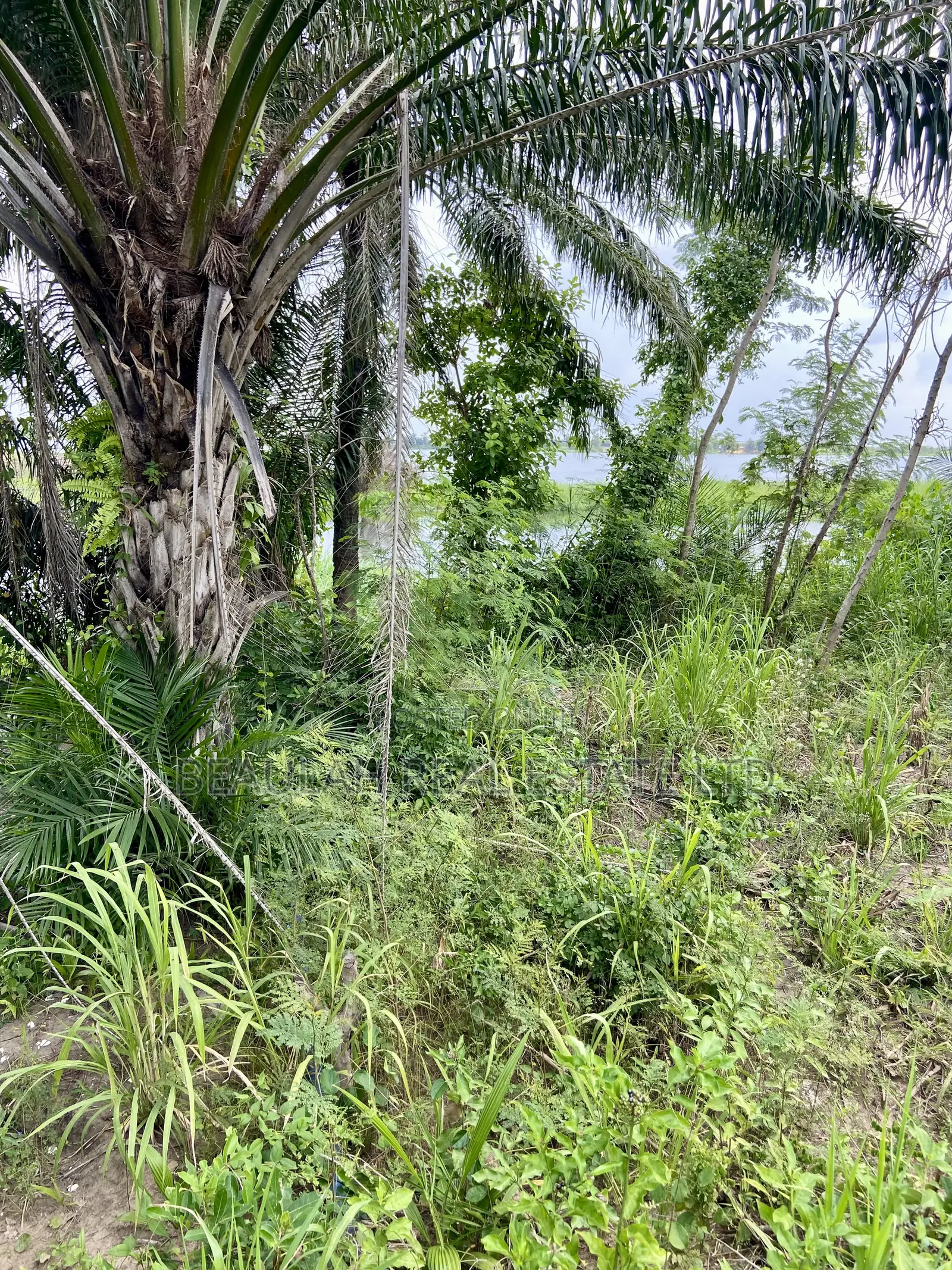 Waterfront/River Land for Sale in Akpaflito, South Tongu – Sogakope