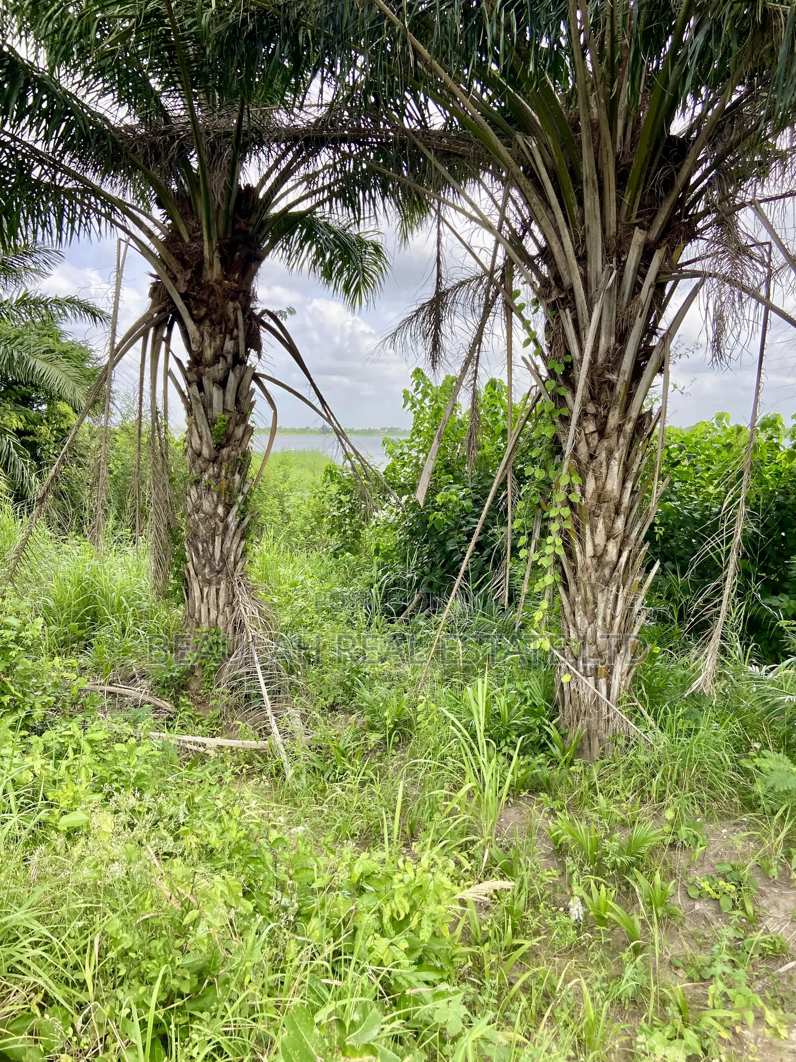 Waterfront/River Land for Sale in Akpaflito, South Tongu – Sogakope