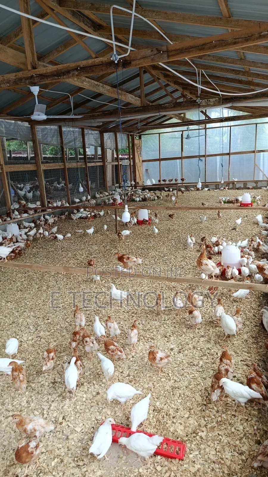 Poultry Farmers Assistant