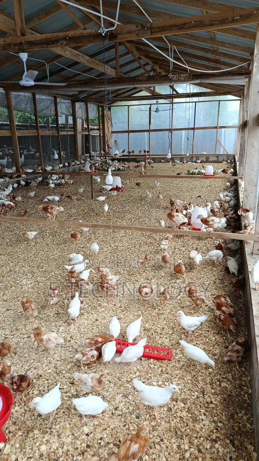 Poultry Farmers Assistant