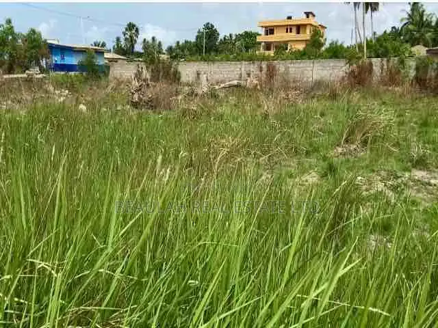 Roadside Land for Sale – Ada Foah (Opposite Pandora