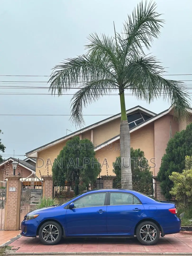 Toyota Corolla LE 4dr Sedan (1.8L 4cyl 4A) 2013 Blue