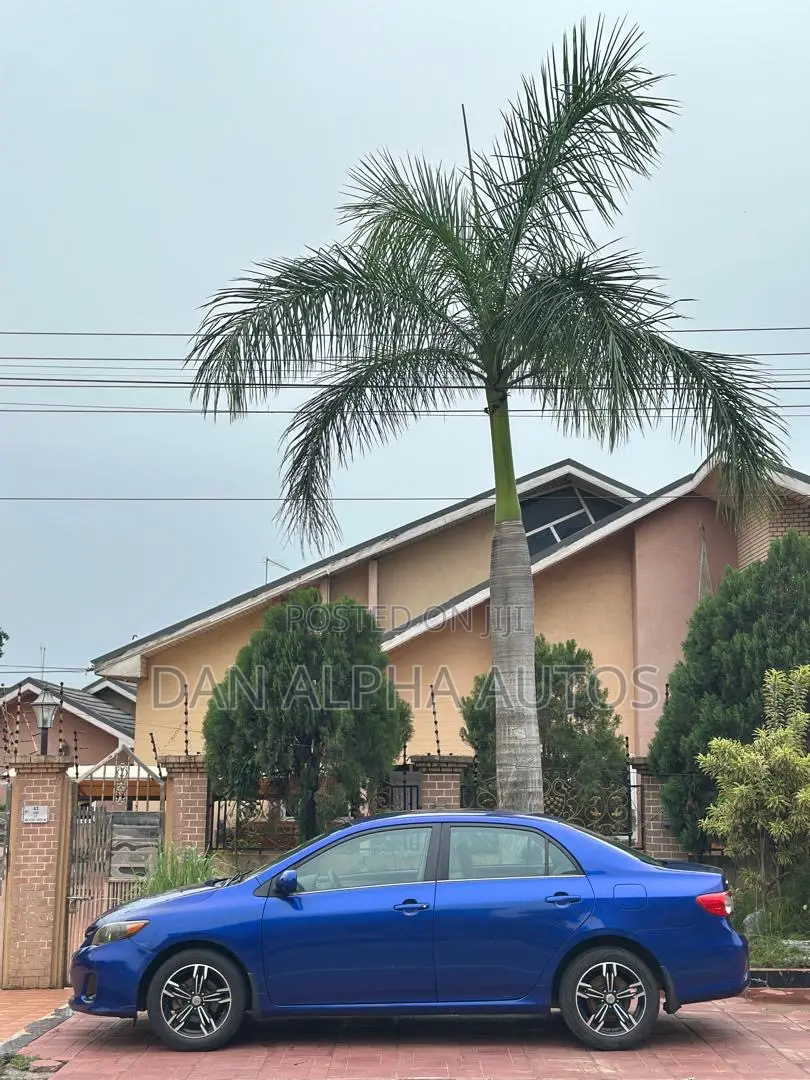 Toyota Corolla LE 4dr Sedan (1.8L 4cyl 4A) 2013 Blue