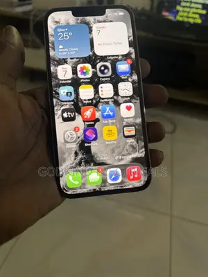 Apple iPhone 13 Pro 256 GB Gray