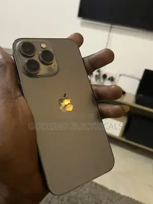 Apple iPhone 13 Pro 256 GB Gray