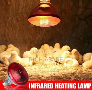 Heating Lamp