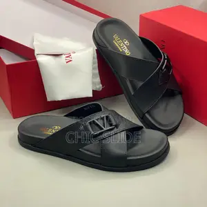 V- Logo Slides
