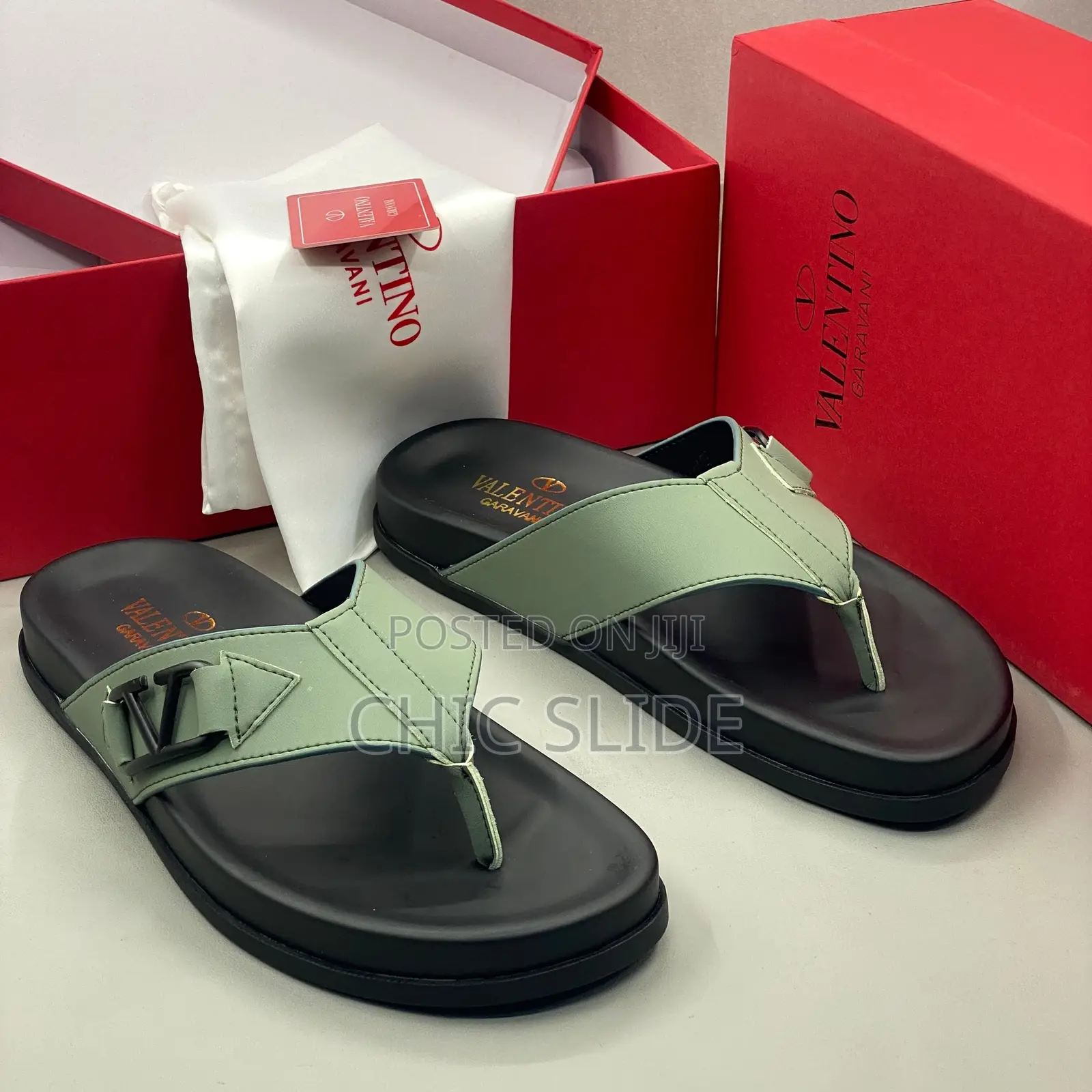 V- Logo Slides