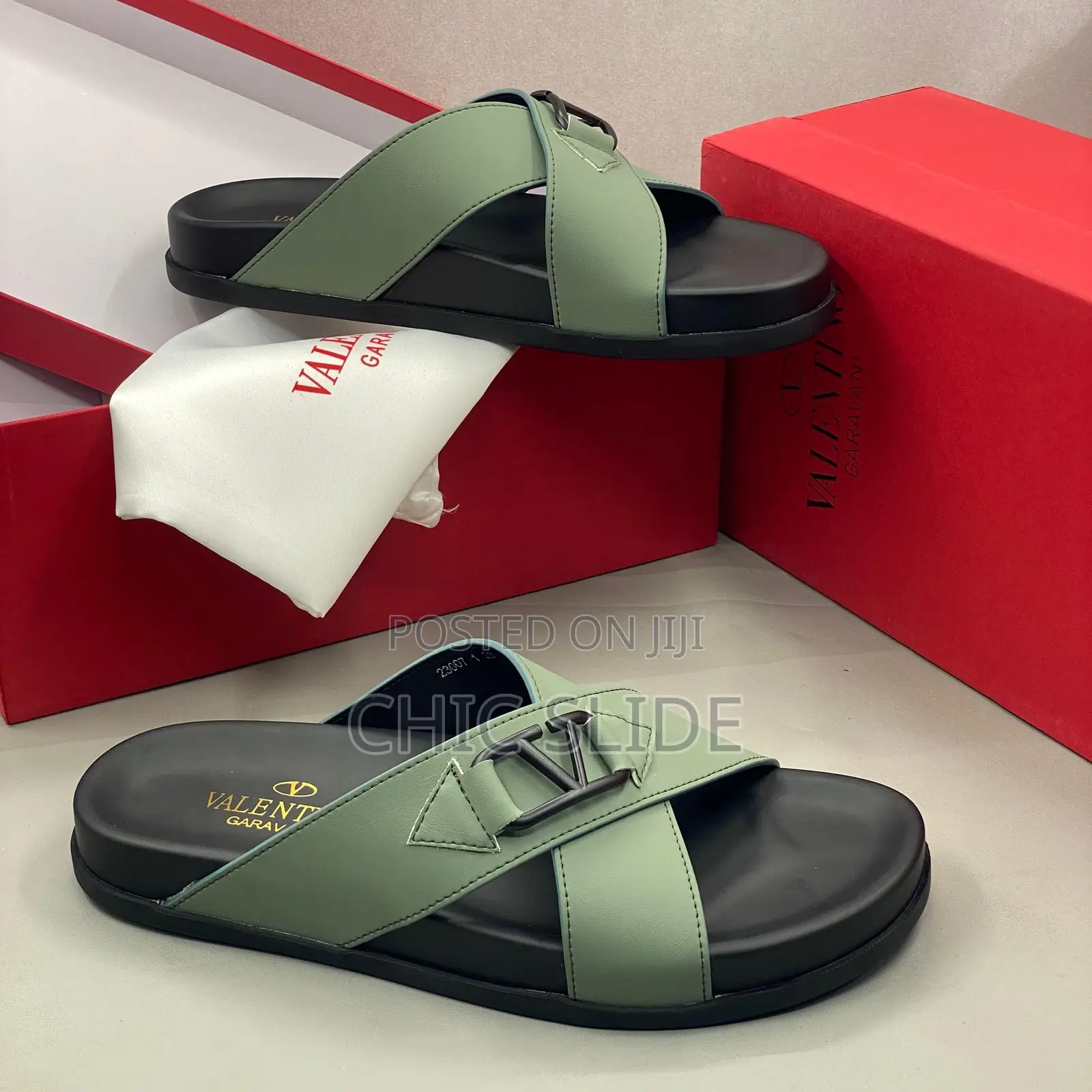 V- Logo Slides