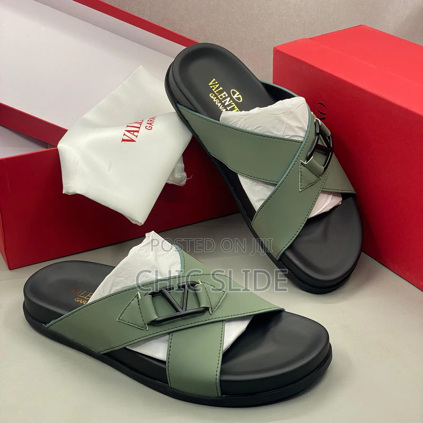 V- Logo Slides