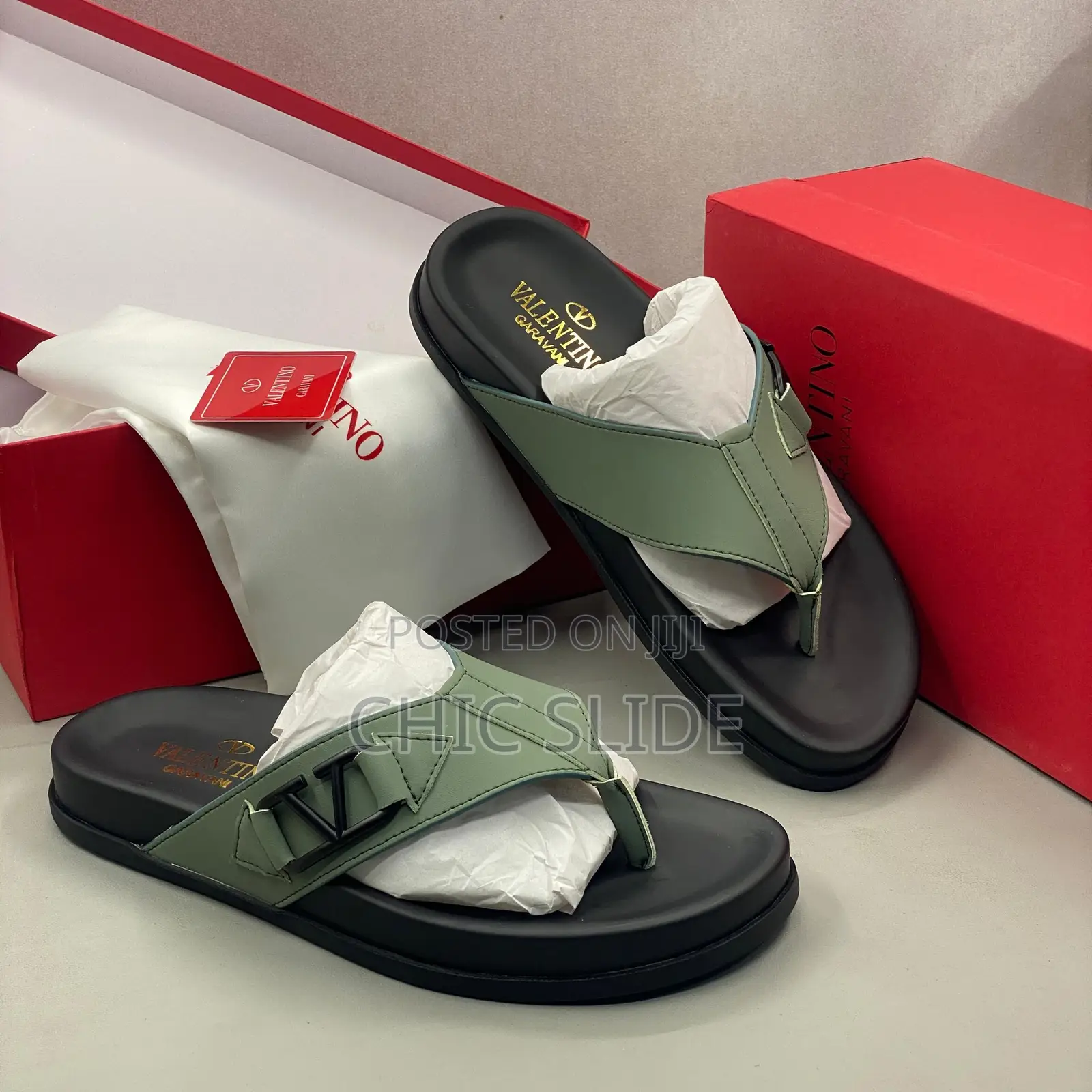 V- Logo Slides