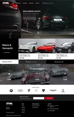 Premium Auto Website Development