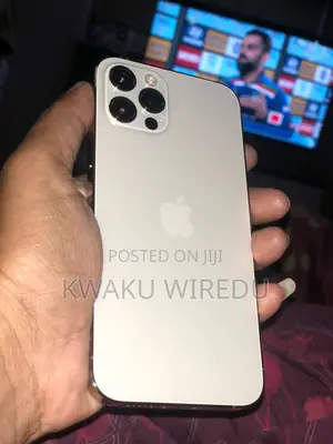 Apple iPhone 12 Pro Max 256 GB Rose Gold