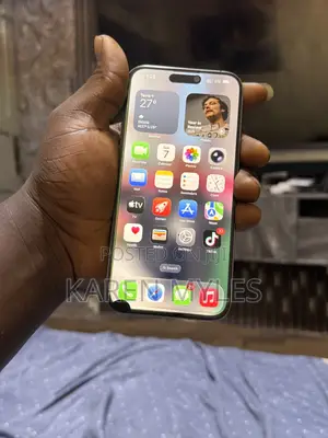 Apple iPhone 15 Pro Max 256 GB Gray