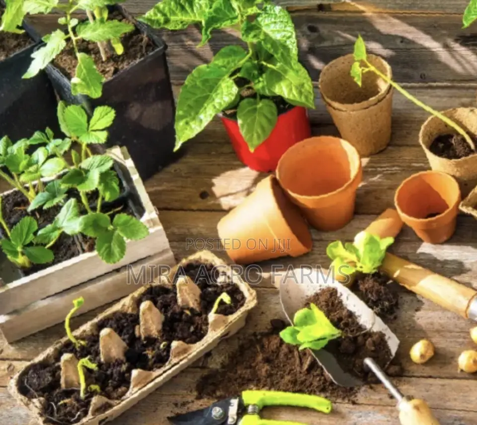 Home Gardening Services
