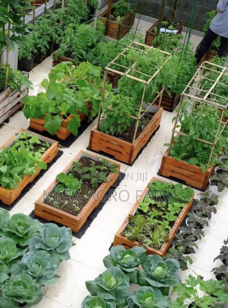 Home Gardening Services