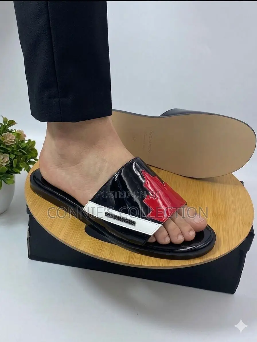Dsquared2 Slides