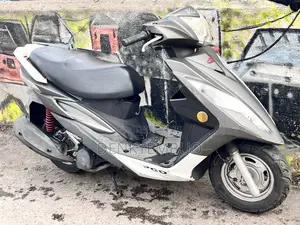 Piaggio Scooter 2026 Gray