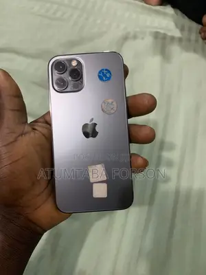 Apple iPhone 12 Pro 256 GB Gray