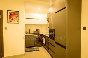 Furnished 2bdrm Apartment in Kofis Realty, Tseaddo for rent