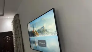 Television