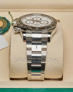 Rolex Cosmograph Daytona Silver Automatic Movement Panda Watch