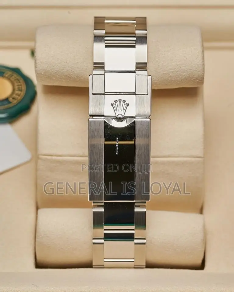 Rolex Cosmograph Daytona Silver Automatic Movement Panda Watch
