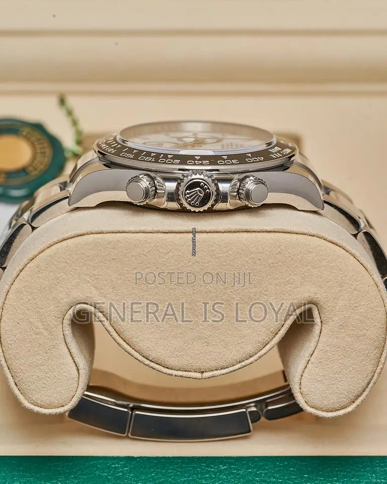 Rolex Cosmograph Daytona Silver Automatic Movement Panda Watch