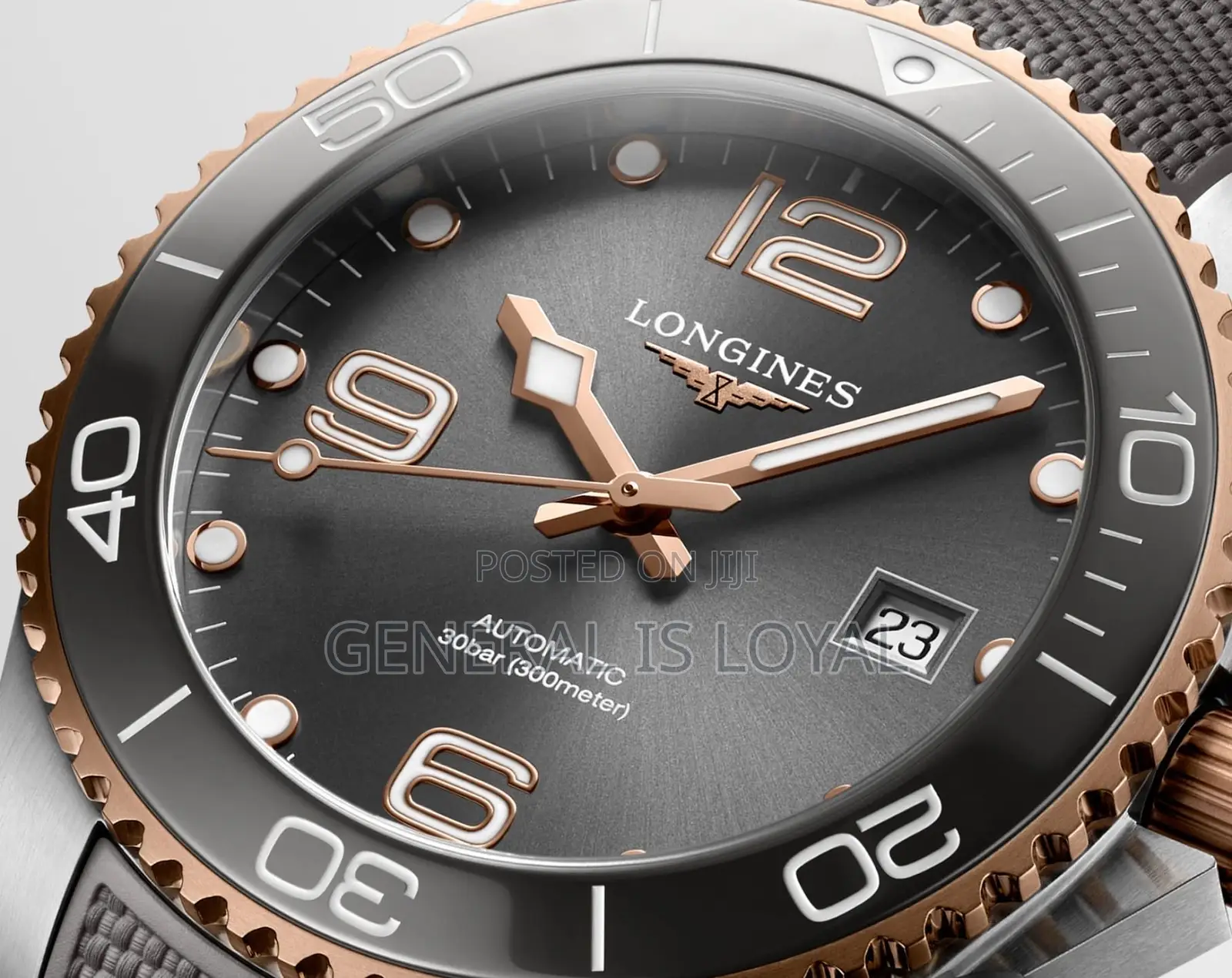Longines Hydroconquest Gray Sunray Dial and a Rose Gold Watch