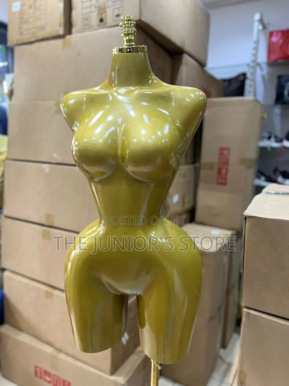 Half BBL Mannequin