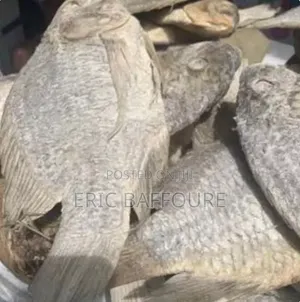 Smoke Fish