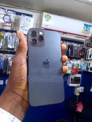 Apple iPhone 12 Pro Max 512 GB Gray